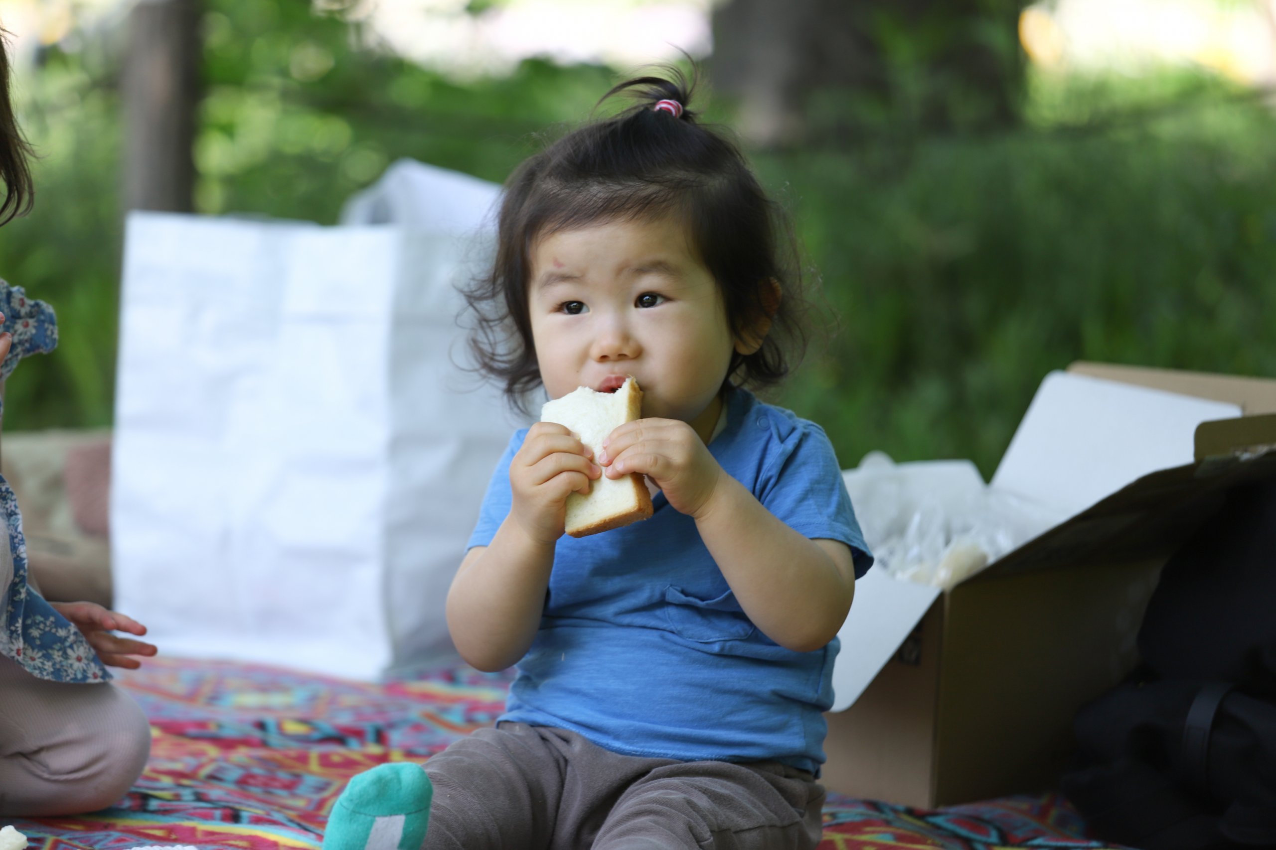 初夏の公園で子どもと楽しむ、週末のパンピクニック